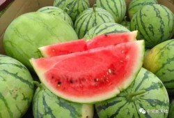 今日吃瓜每日,揭秘娱乐圈最新热点事件